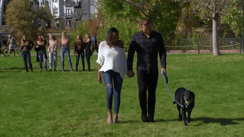 Episode 7 Dog GIF by The Bachelor