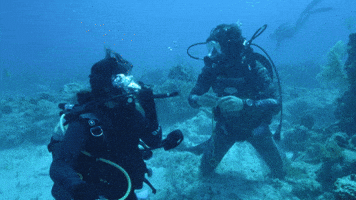 What Are We Gonna Do?