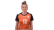 Vbl Cesar Sticker by Volleyball Bundesliga