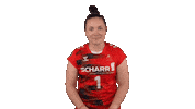 Stuttgart Vbl Sticker by Volleyball Bundesliga