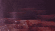 Drunk Wine GIF by Sophia Scott