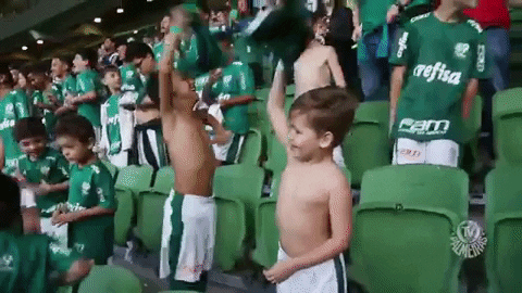 Felicidade GIF by SE Palmeiras