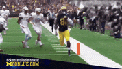 GIF by Michigan Athletics