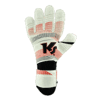 Dominance Goalkeeper Gloves Sticker by KEEPERsport