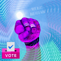 transgreaser blue vote chuck schumer transgreaser GIF