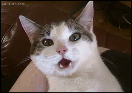 shocked GIF