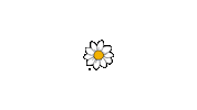 Flowers Daisy Sticker by westeggpress