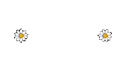Flowers Wednesday Sticker by westeggpress