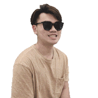 Meme Sunglasses Sticker by noseon