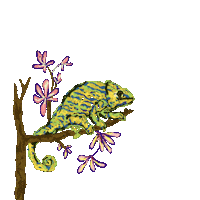 Greenteaeveryday Chameleon Green Tea Everyday Sticker by Elitsour