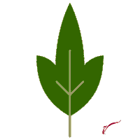 Plants Verde Sticker by Cerveza Victoria