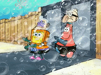 season 6 GIF by SpongeBob SquarePants