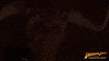 Indiana Jones And The Temple Of Doom GIF by Indiana Jones
