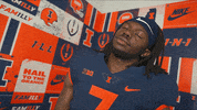 Illinois Football GIF by Fighting Illini Athletics