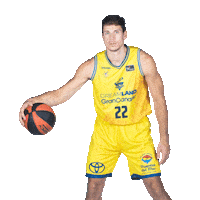 Basket Marca Sticker by Grupo Newport