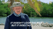 Gordon Ramsay Disney Plus GIF by National Geographic TV
