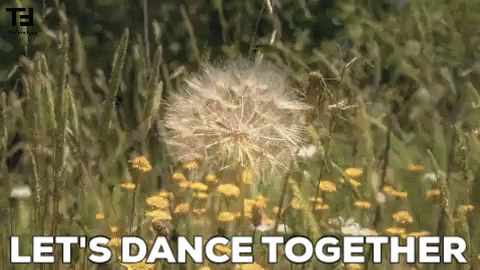 Happy Dance GIF by TheFactory.video
