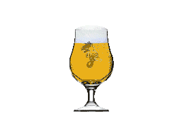 drunk beer Sticker by Cerveja Praya