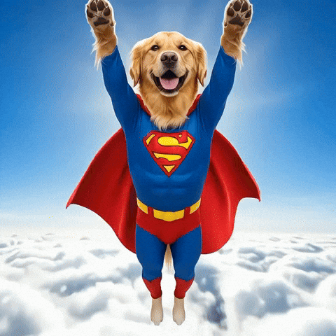 LibertyDog giphyupload superman liberty bonk GIF