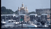 maryland GIF