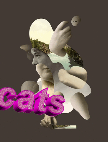 cristinamosillolabbad giphyattribution GIF