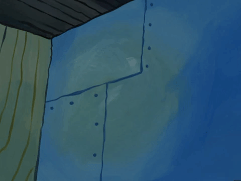 season 5 GIF by SpongeBob SquarePants