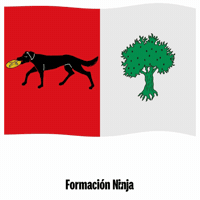 Comunidad Valenciana Flag GIF by Formación Ninja