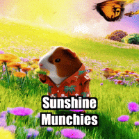 Guinea Pig Wildflowers GIF by Guinea Gambino