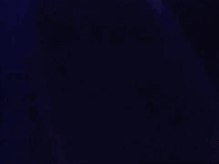 prince the question of u GIF