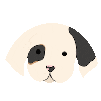 betinagozo puppy remy betina gozo english setter Sticker