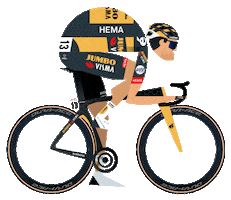Jumbo-Visma Cycling Sticker