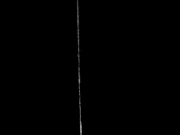 barrrrbarra art netart rotoscopy mapuche GIF