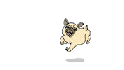 happy dog dancing STICKER