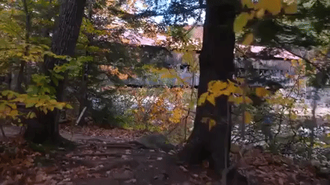 new hampshire GIF