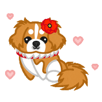 Dog Sticker