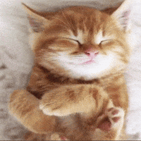 Clubhouse GIF