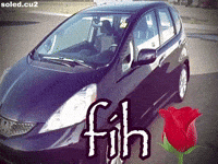 Honda Fih GIF