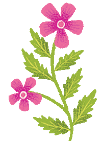 Flowers Spring Sticker by CAUSEBOX