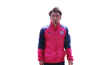Cerezo Sticker by セレッソ大阪