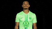 Happy France GIF by VfL Wolfsburg
