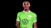 Happy Sport GIF by VfL Wolfsburg