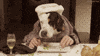 dog human eating GIF
