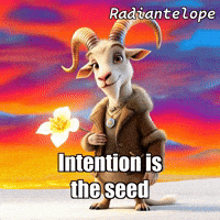 Flower Love GIF by Radiantelope