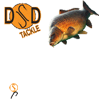Fishing Carp Sticker by DSD Tackle