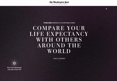 infodumpster_fire giphyupload GIF