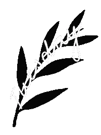 Morning Tuesday Sticker