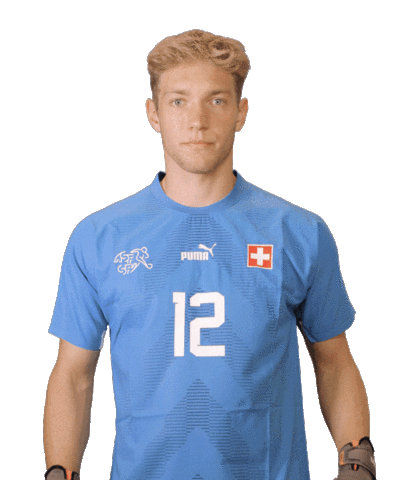 Switzerland Suisse Sticker by Swiss Football Association