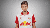 Pose Salute GIF by FC Red Bull Salzburg