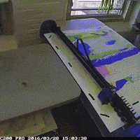 Natan_Lawson  GIF