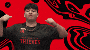 Call Of Duty Esports GIF by 100 Thieves